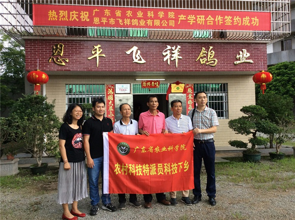 图片说明