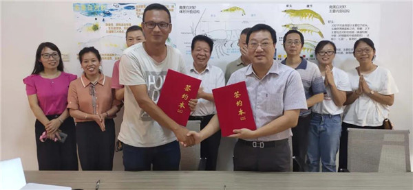 图片说明