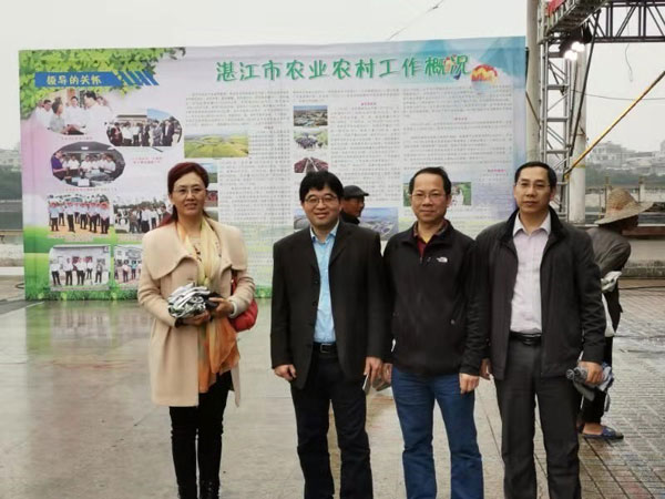 图片说明