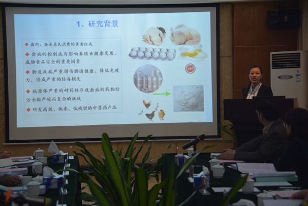 图片说明