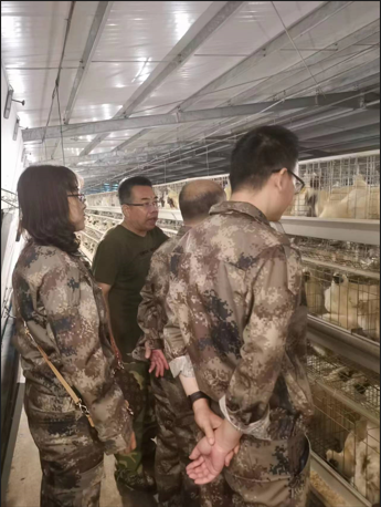 图片说明