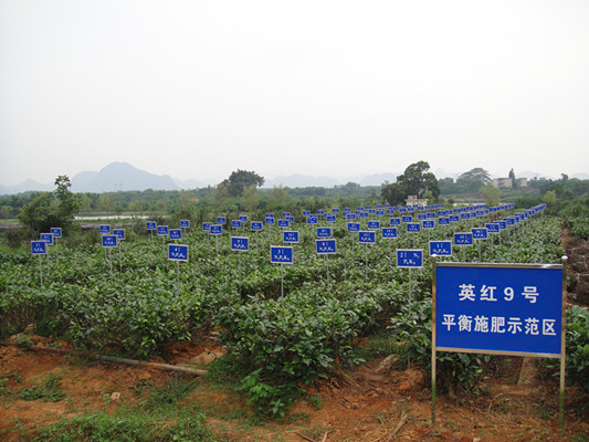 图片说明