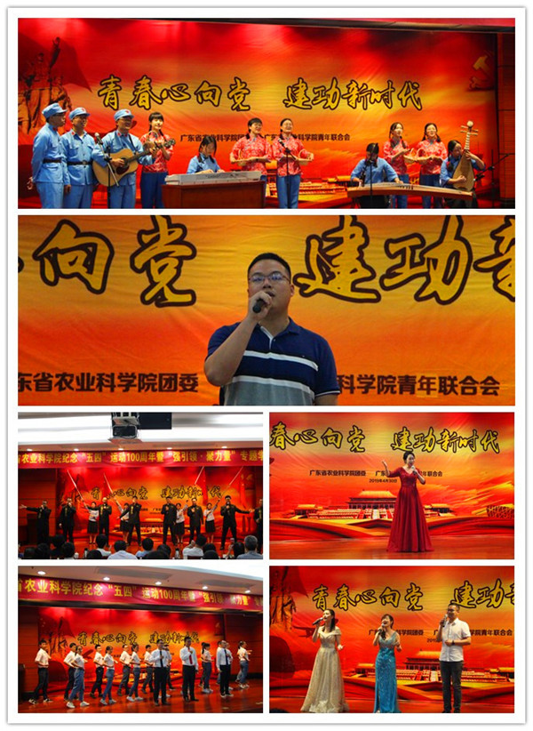 图片说明
