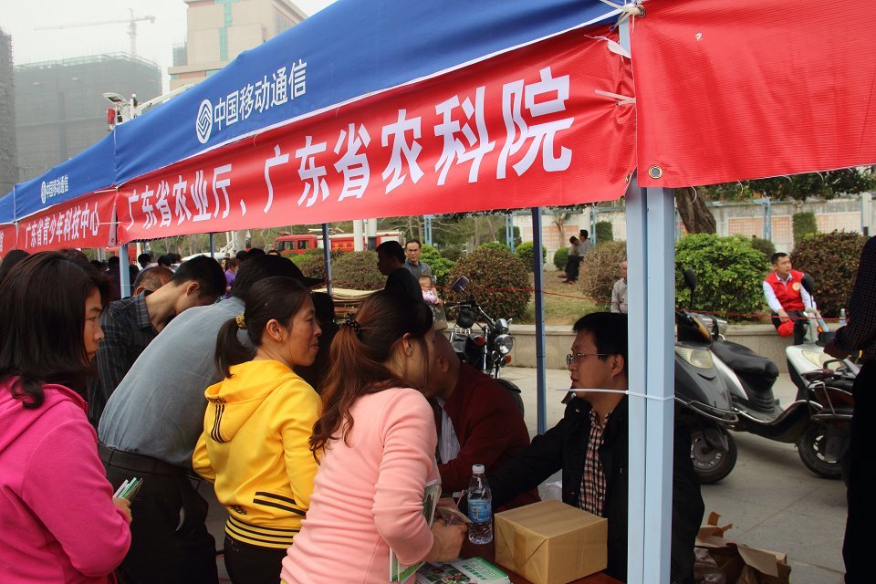 图片说明
