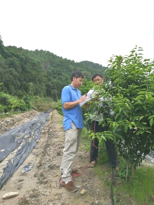 图片说明