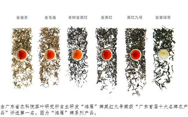 图片说明