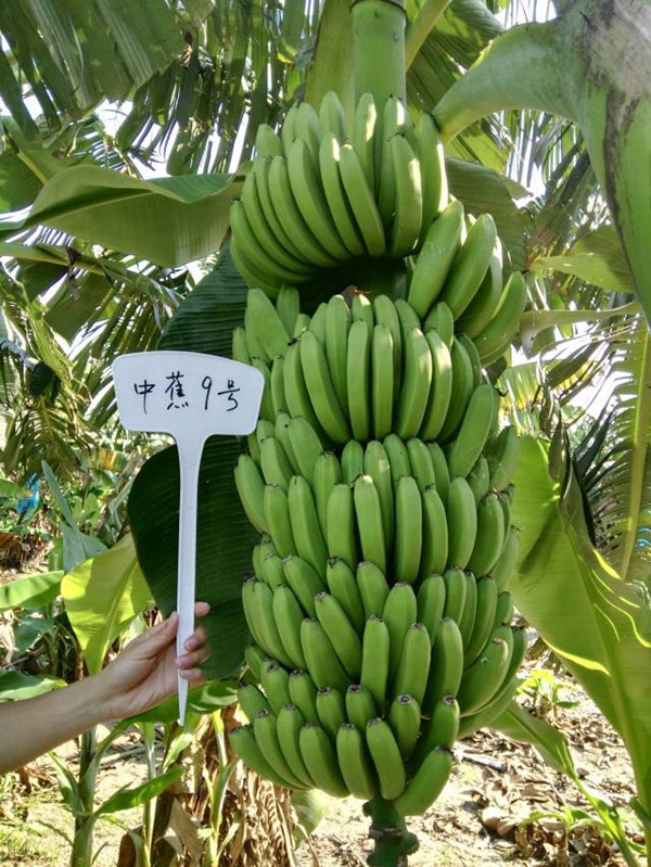 图片说明