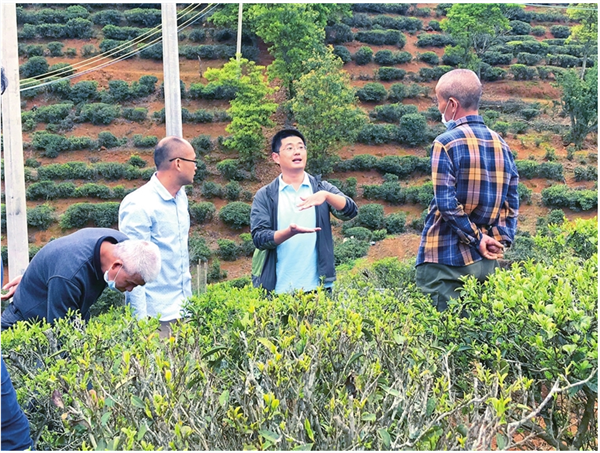 图片说明