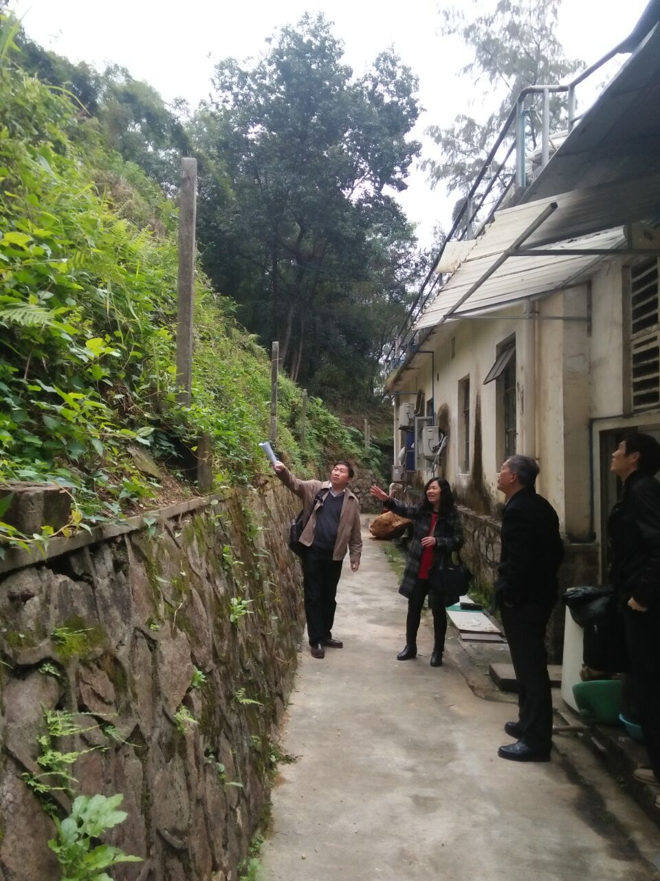 图片说明