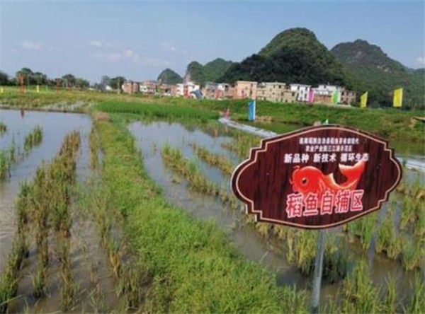 图片说明