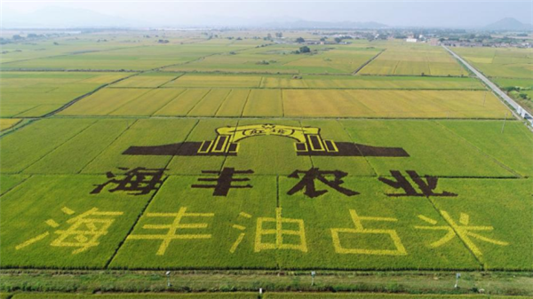 图片说明