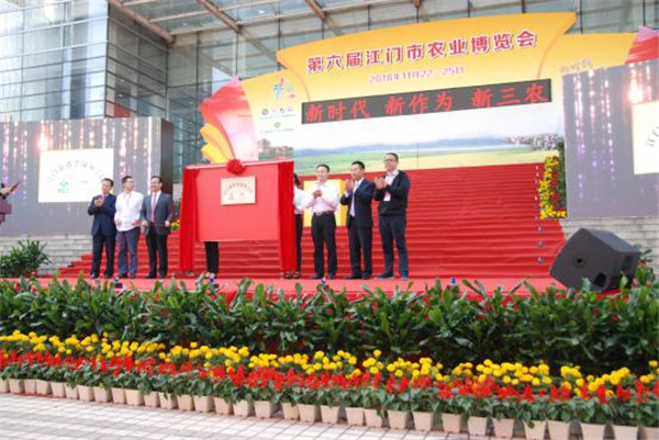 图片说明