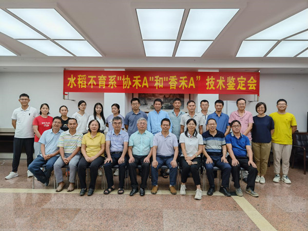 图片说明