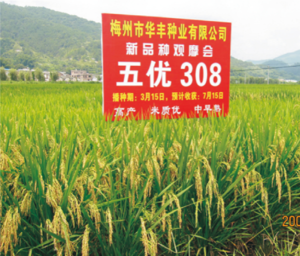 22-五优308.jpg