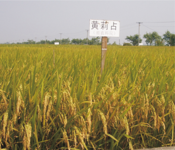 39-黄莉占.jpg