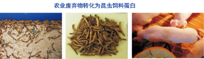 农业废弃物处理技术.jpg
