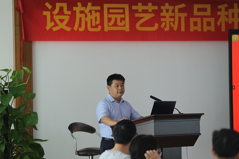 图片说明