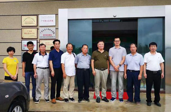 图片说明