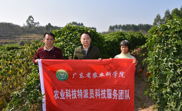 图片说明