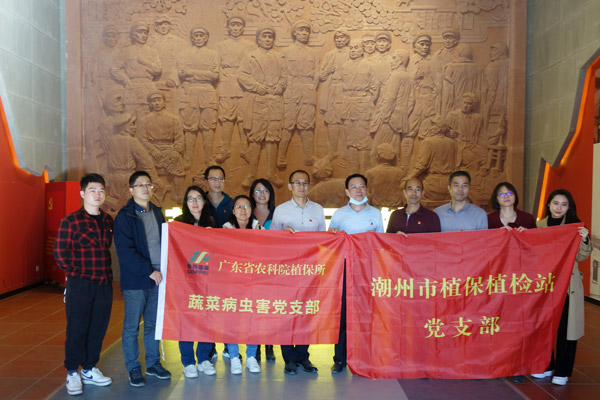 图片说明