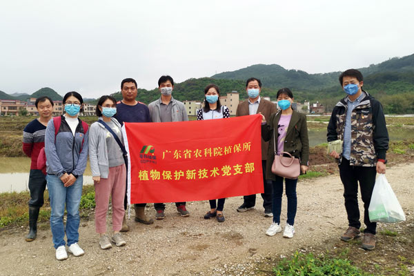 图片说明