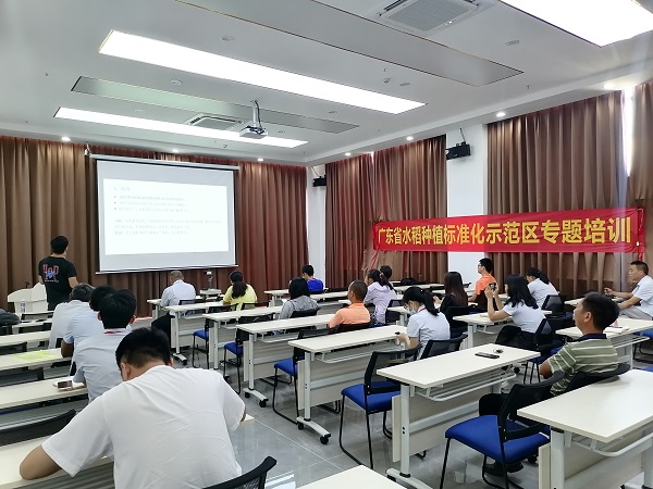 图片说明