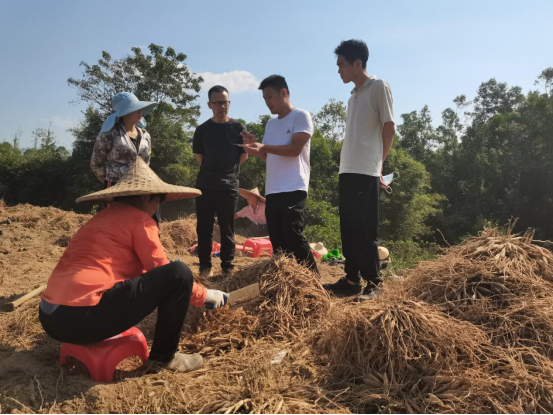 图片说明