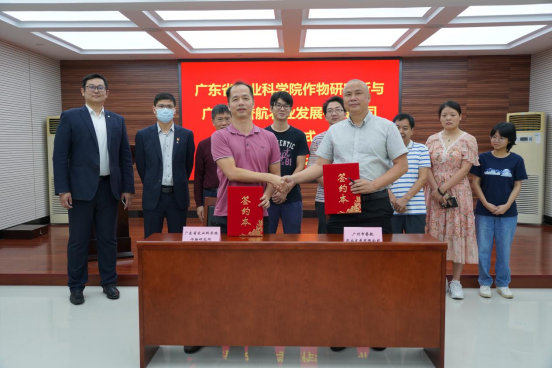 图片说明