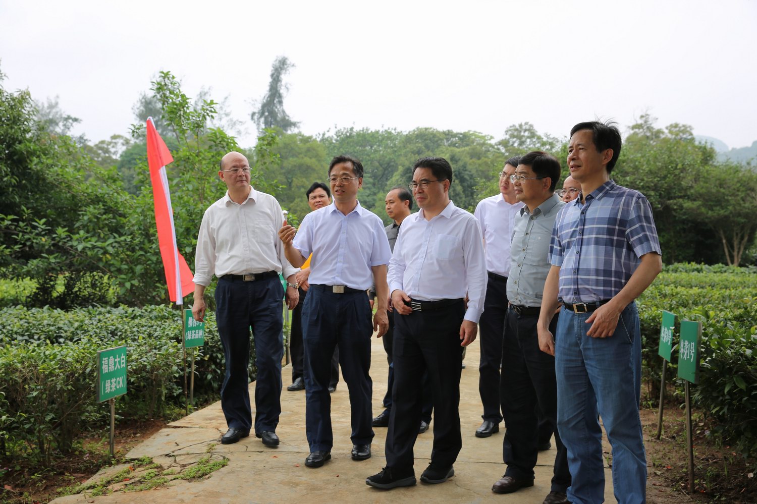 图片说明