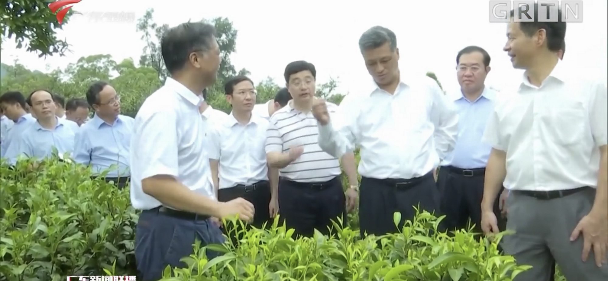 图片说明