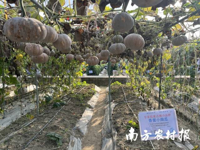 受访者供图