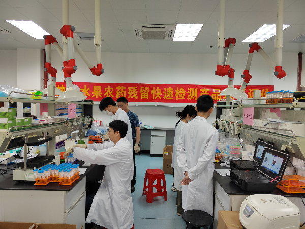 已编辑图片